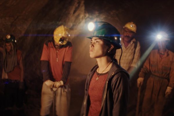 _Oro-Amargo-1