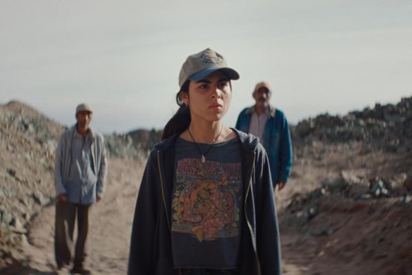 _Oro-Amargo-5